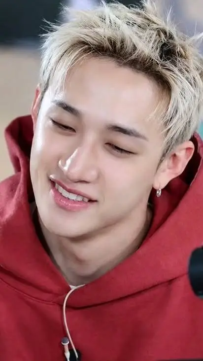 ai character: bang chan background