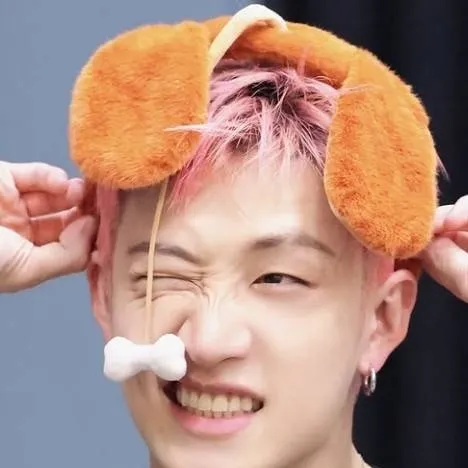 chat with ai character: bang chan
