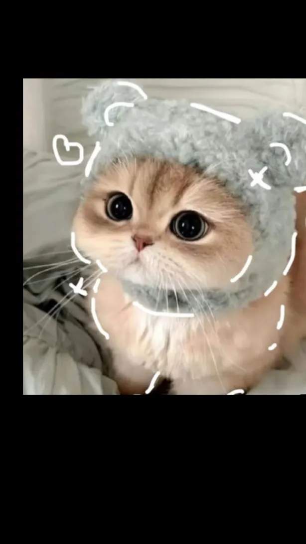 ai character:  ୨୧Wonyoungism background