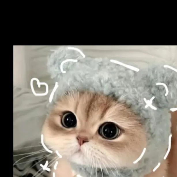 chat with ai character:  ୨୧Wonyoungism