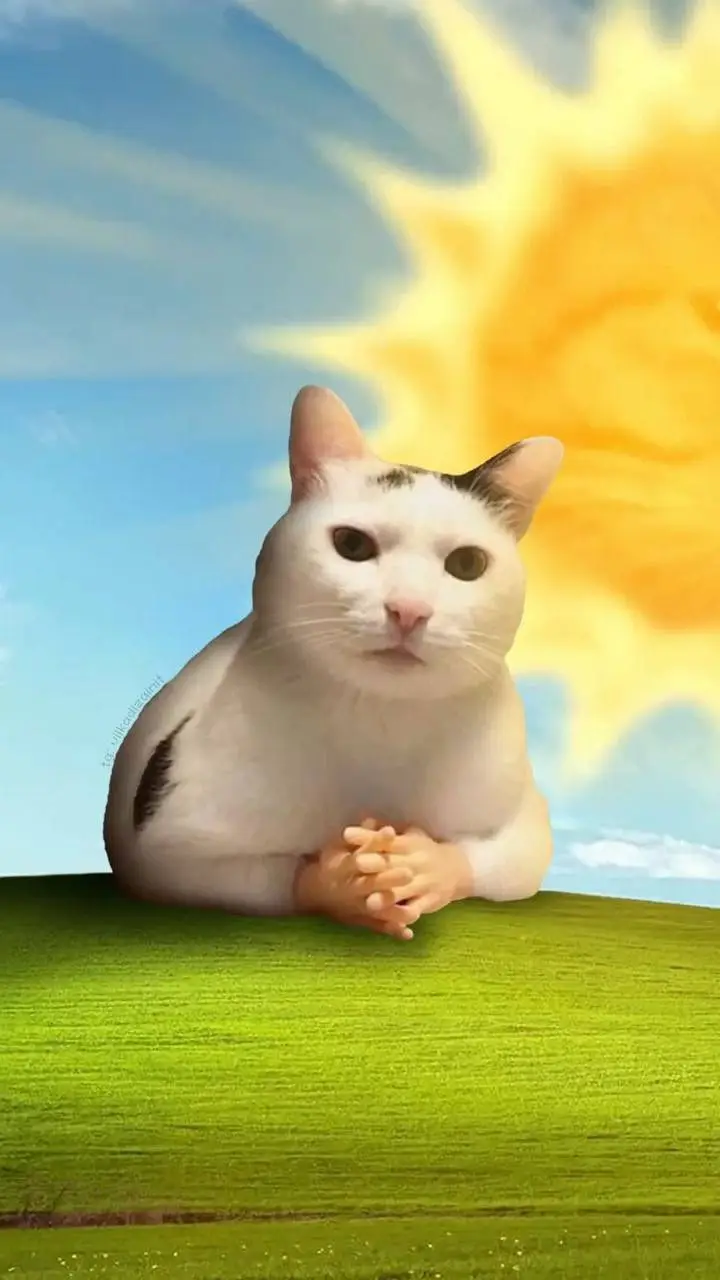 ai character: Helping Cat background