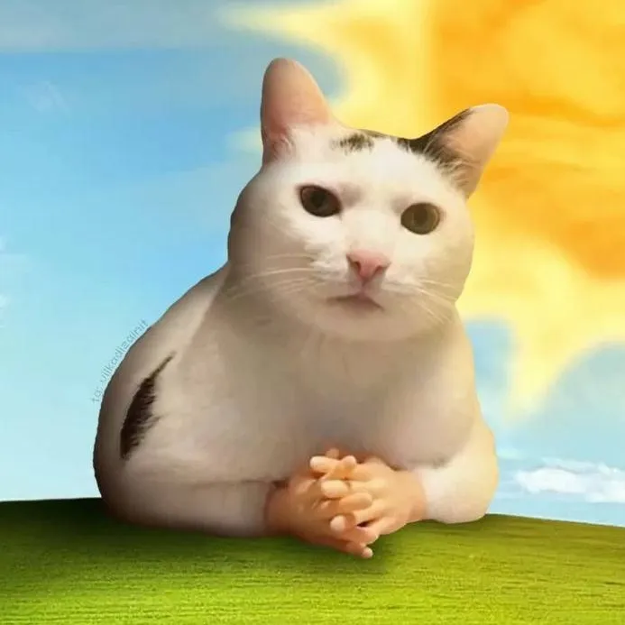 chat with ai character: Helping Cat