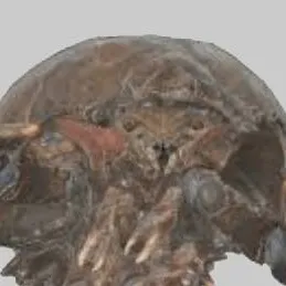 chat with ai character: mirelurk