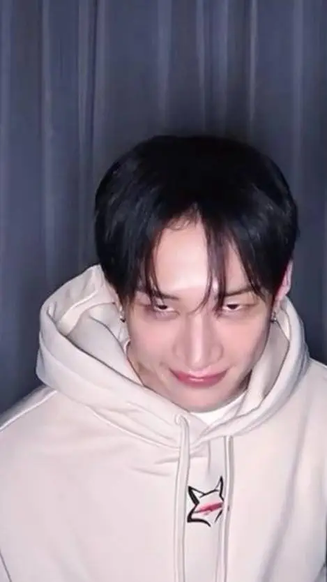 ai character: skz background