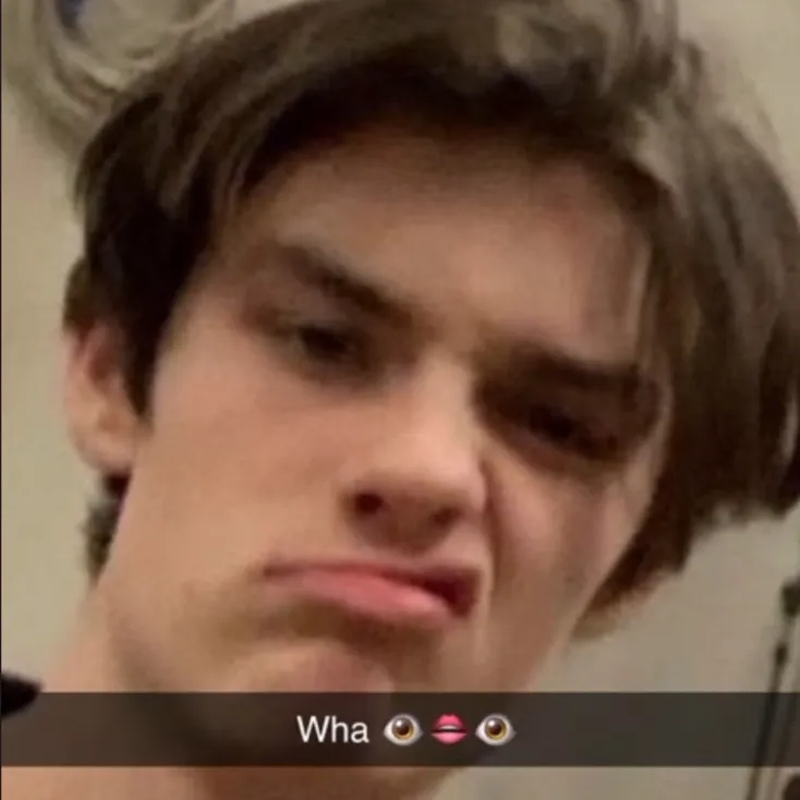 chat with ai character: Slytherin boys