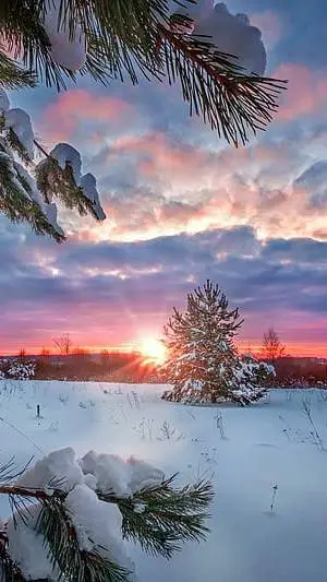 ai character: mysterious forest background