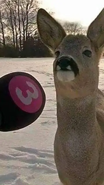 ai character: Been a bit background