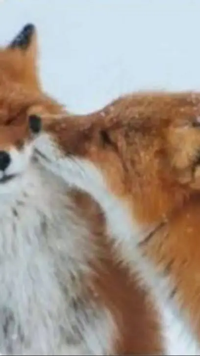 ai character: Posts background