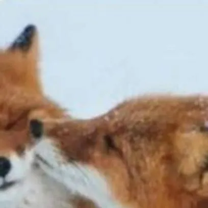 chat with ai character: Posts