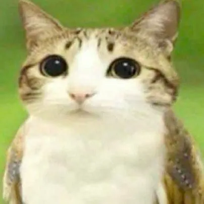 chat with ai character: ◇FORSAKEN◇