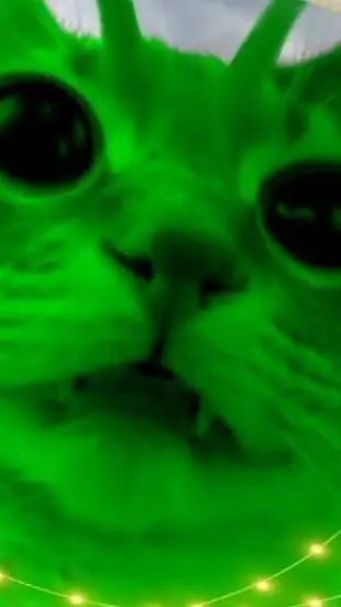 ai character: OAISIS PAW background