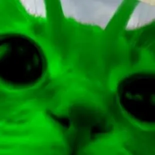 chat with ai character: OAISIS PAW