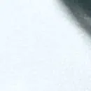 chat with ai character: Avila 