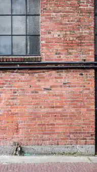 ai character: PlantsDontFeelPain background