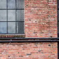 chat with ai character: PlantsDontFeelPain