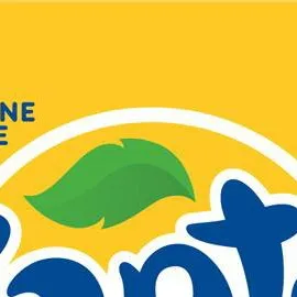 chat with ai character: fanta pineapple