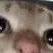 chat with ai character: Cat