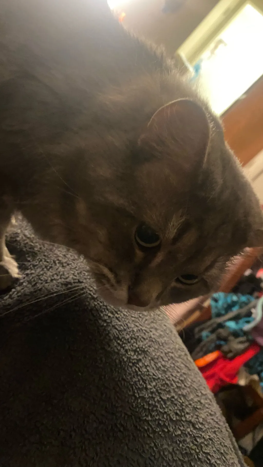 ai character: Ash background