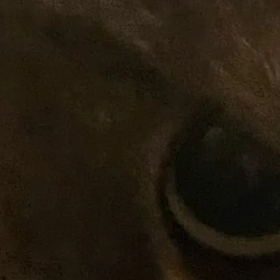 chat with ai character: Ash