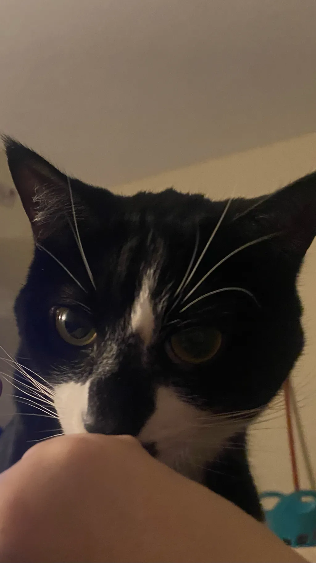 ai character: Smudge background