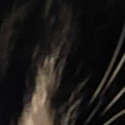 chat with ai character: Smudge