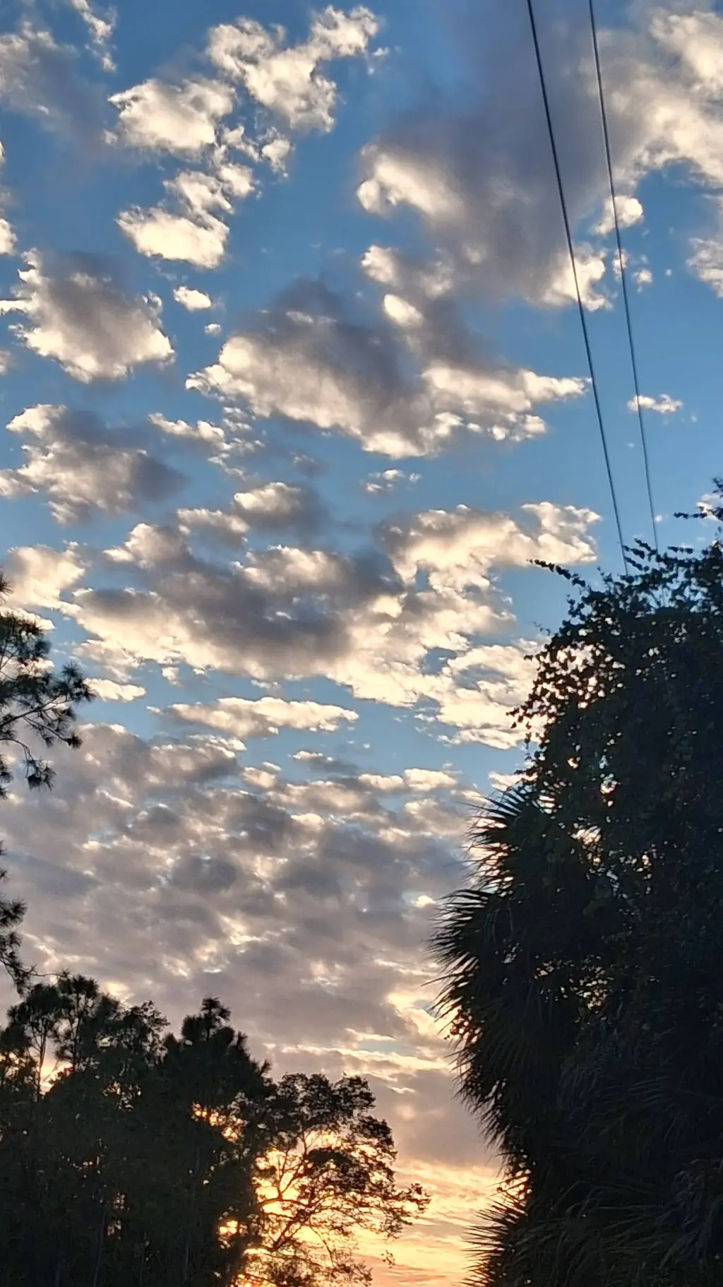 ai character: TSITP💖 background