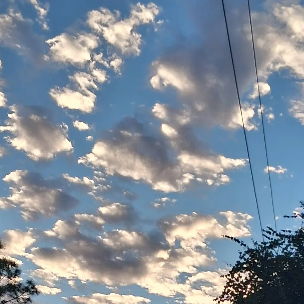 chat with ai character: TSITP💖