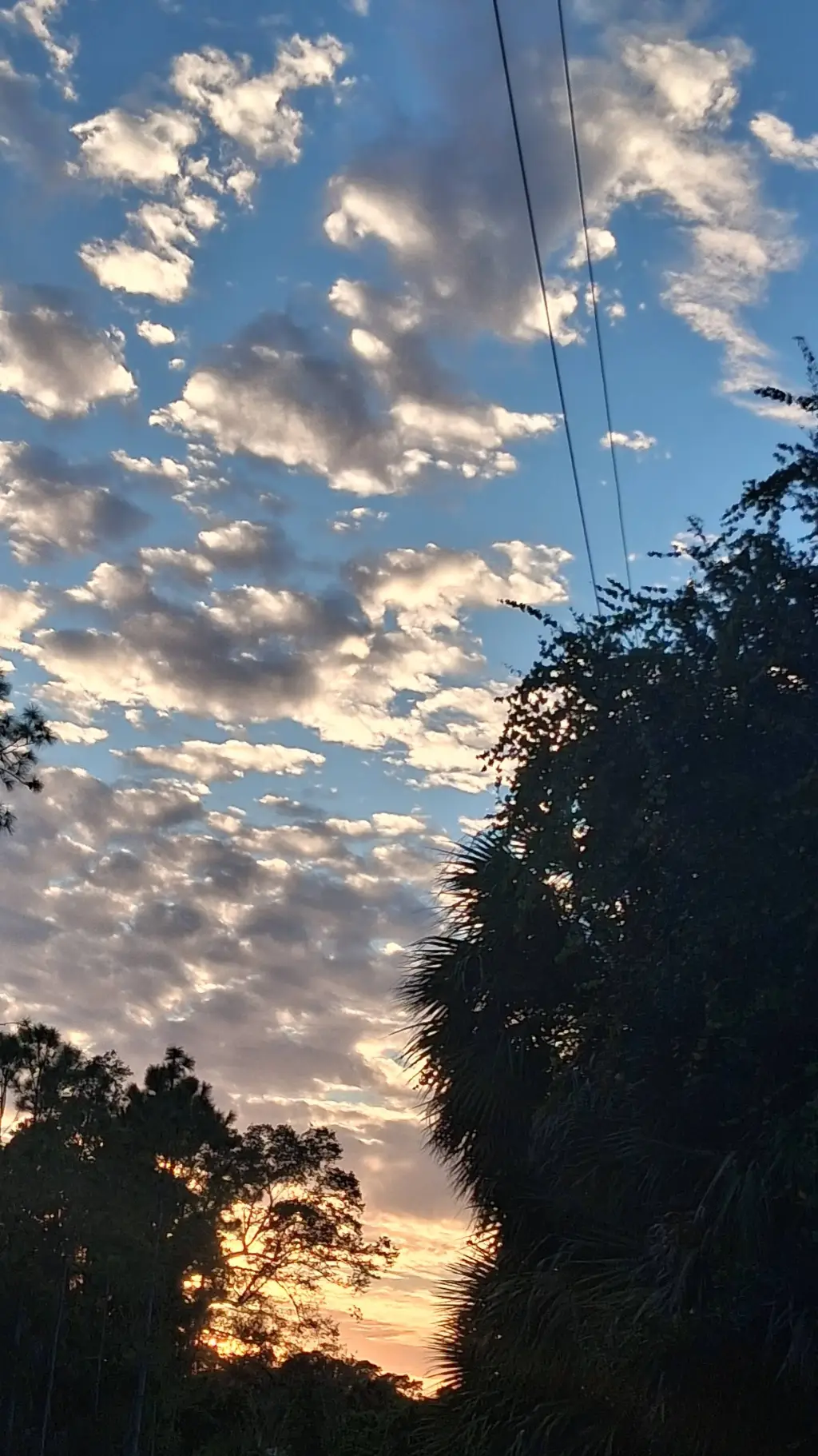 ai character: *Pt 2* TSITP  background