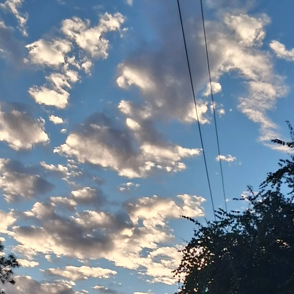 chat with ai character: *Pt 2* TSITP 