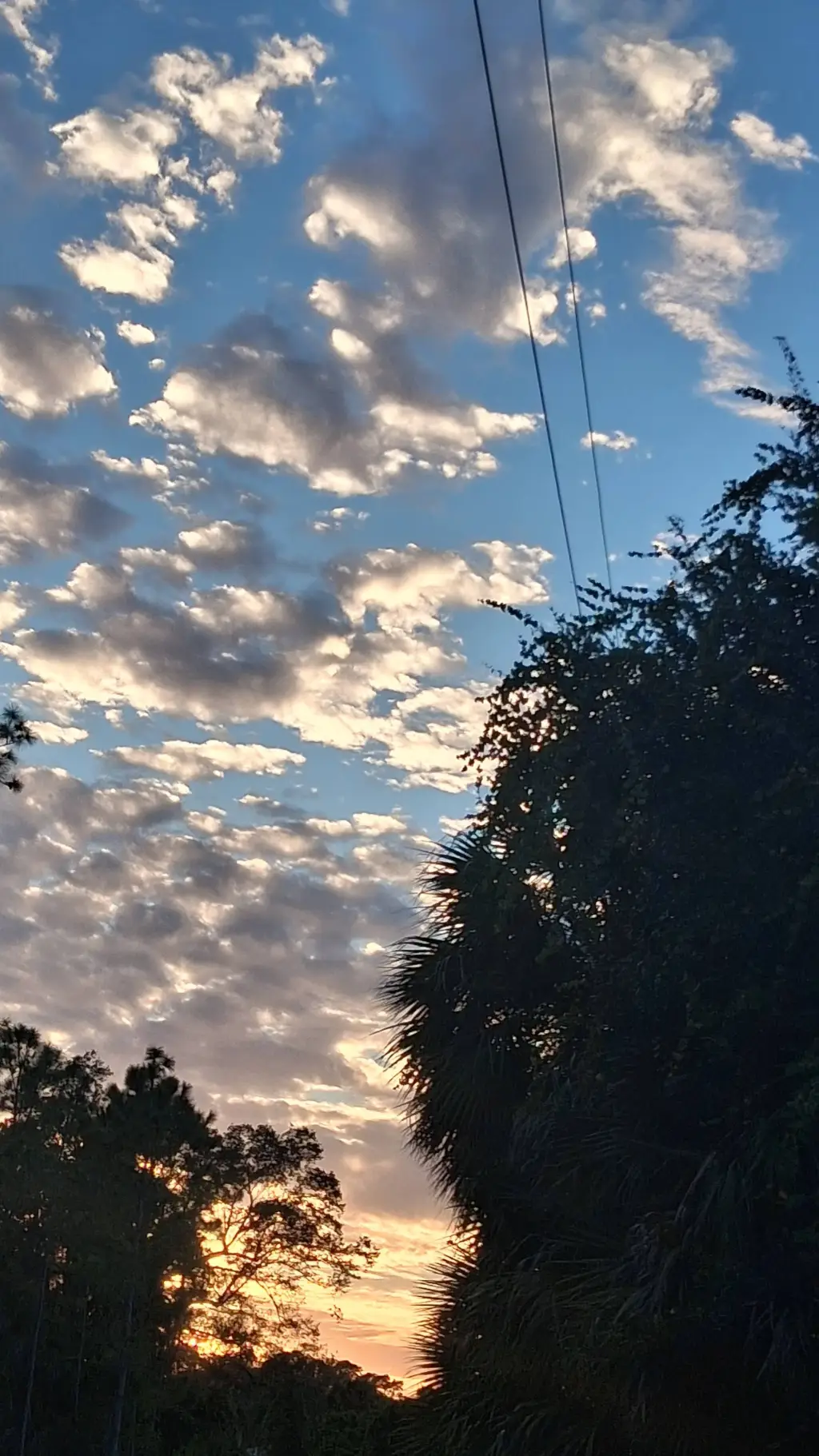 ai character: *Pt 3* TSITP  background