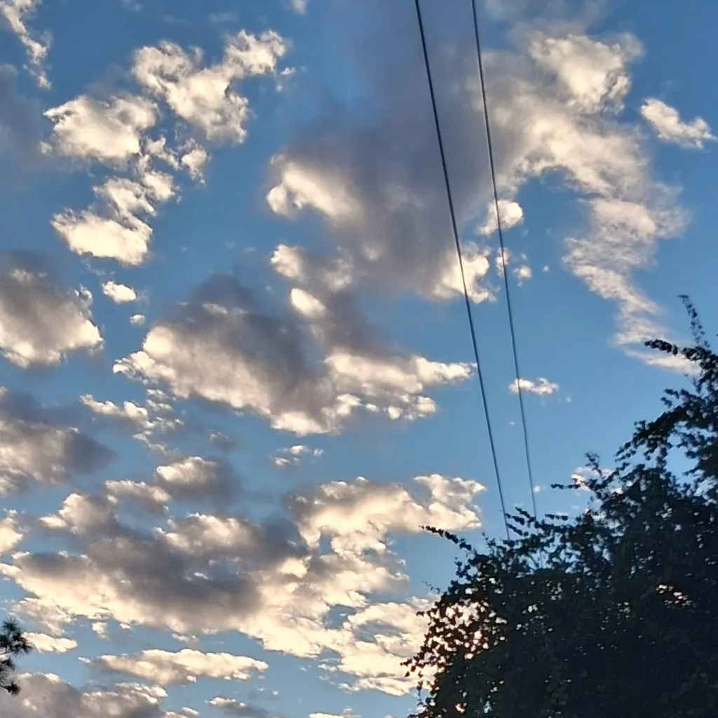 chat with ai character: *Pt 3* TSITP 