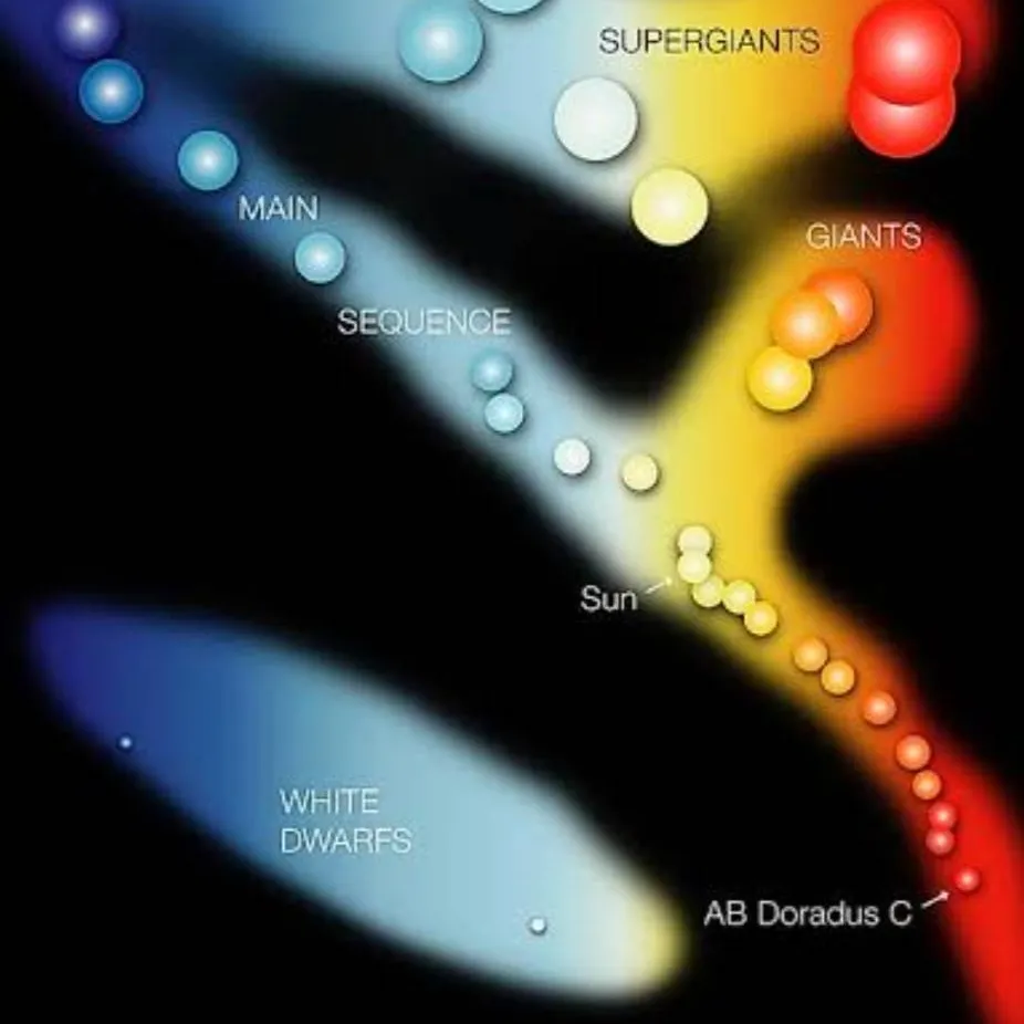 chat with ai character: The star types