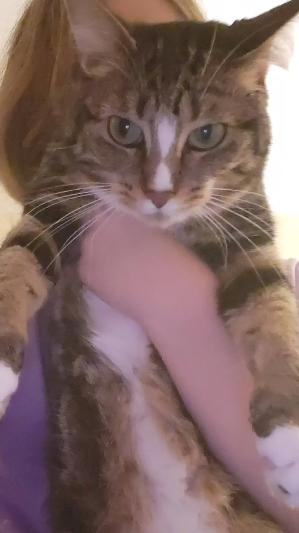 ai character: Sprunki  background