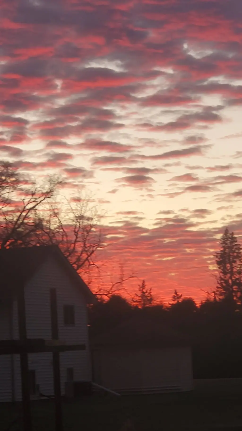 ai character: Kallias background