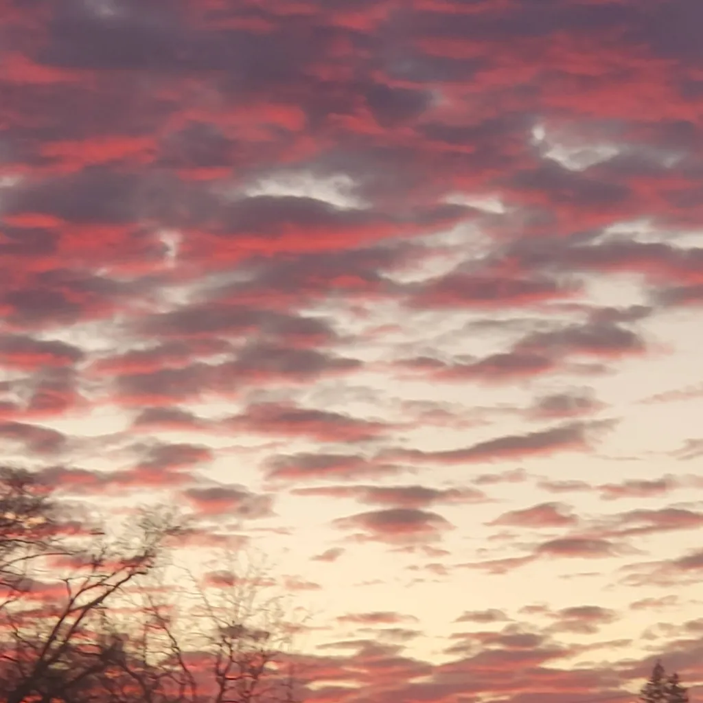 chat with ai character: Kallias