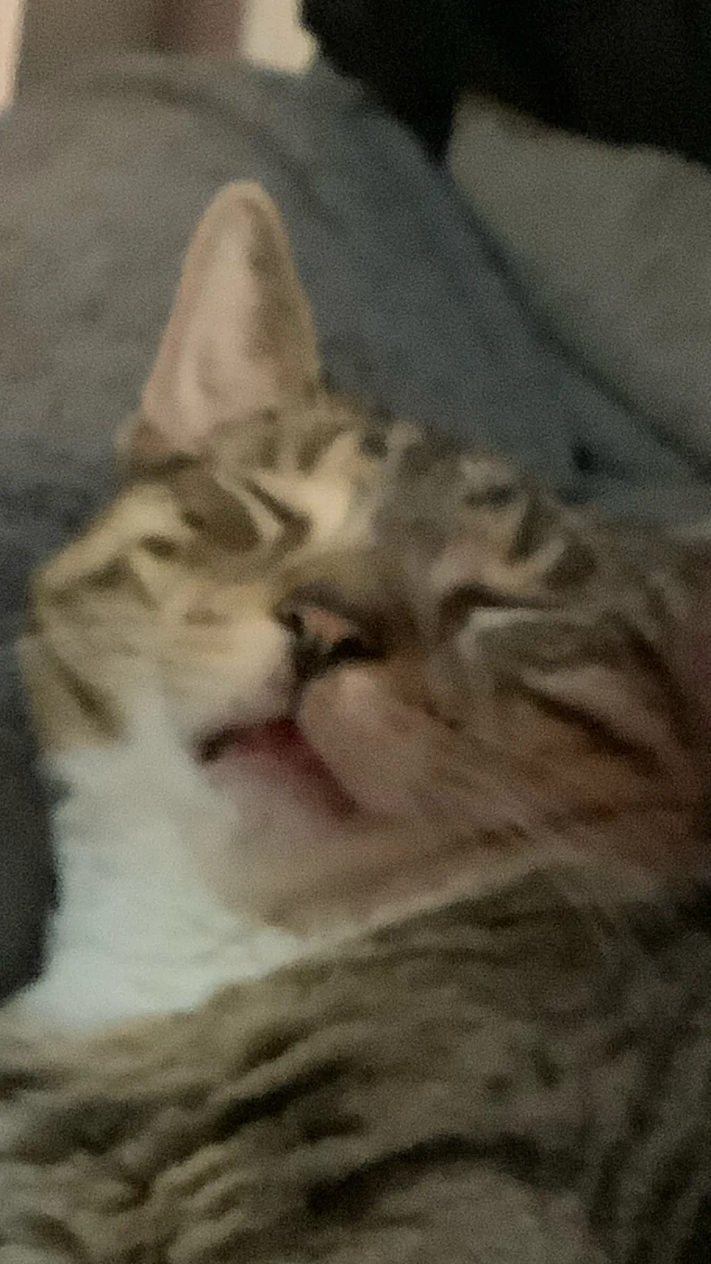 ai character: Slytherin boys background