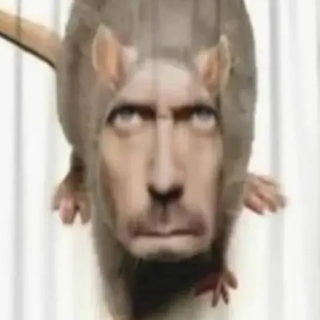 chat with ai character: RAT