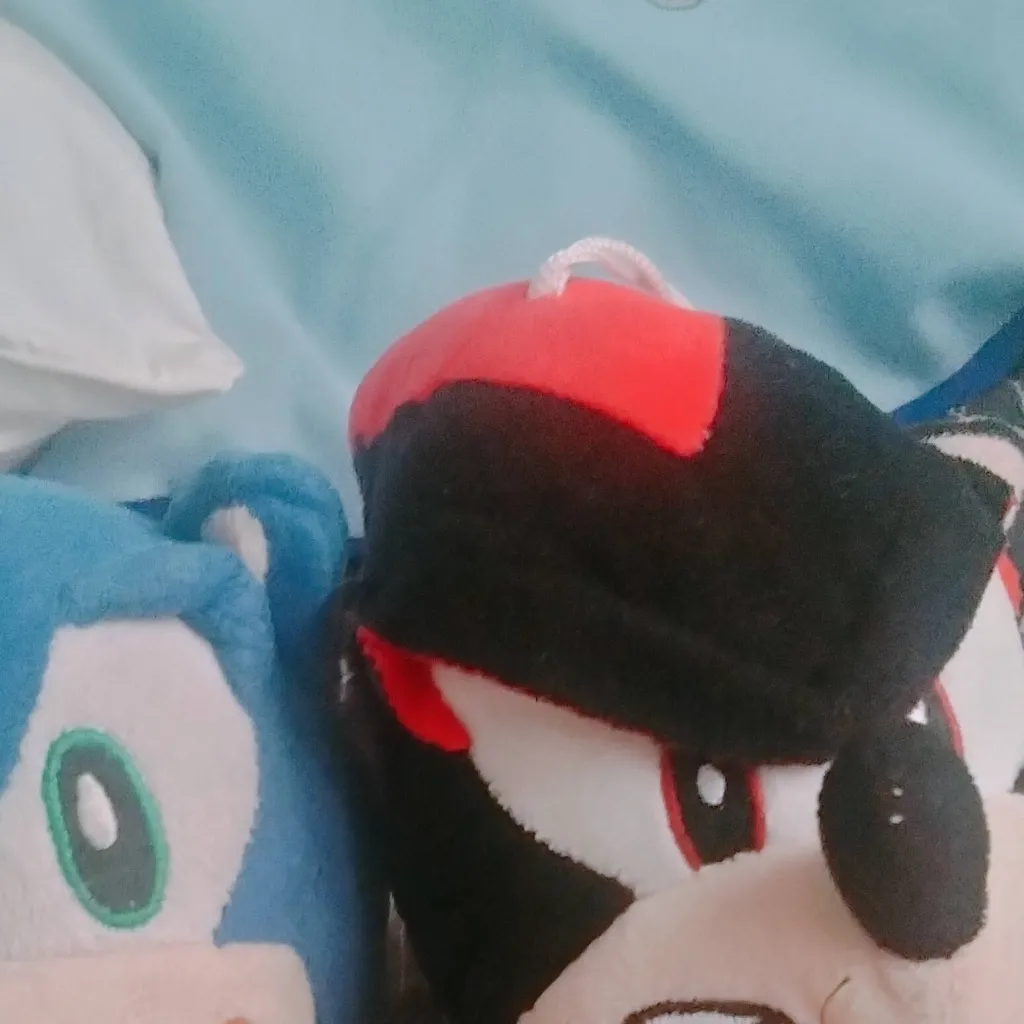 chat with ai character: sonic and shadow 