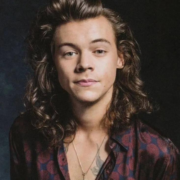 chat with ai character: Harry styles 