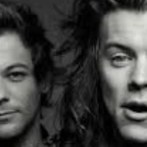 chat with ai character: Louis & Harry 