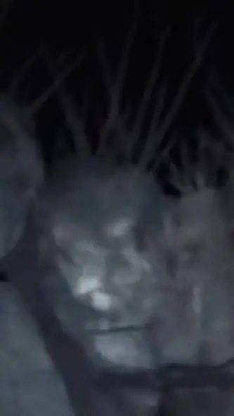 ai character: Rushmorerevenge background