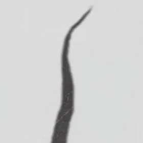 chat with ai character: The Special Tree 