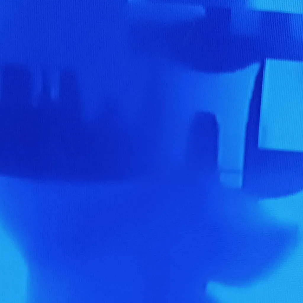 chat with ai character: Ellie