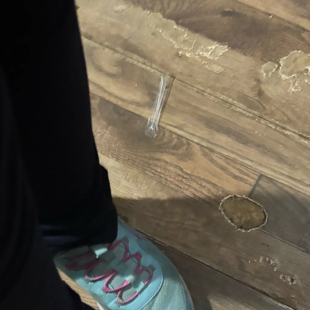 chat with ai character: Raspberry and may!