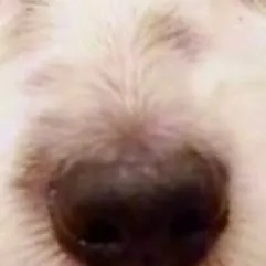 chat with ai character: breathing chez