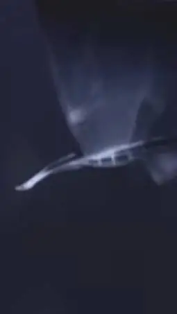 ai character: ¿ background