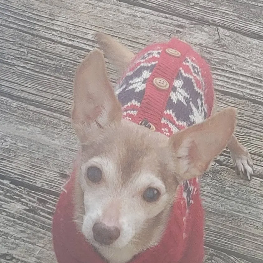 chat with ai character: SCHOOL!!!