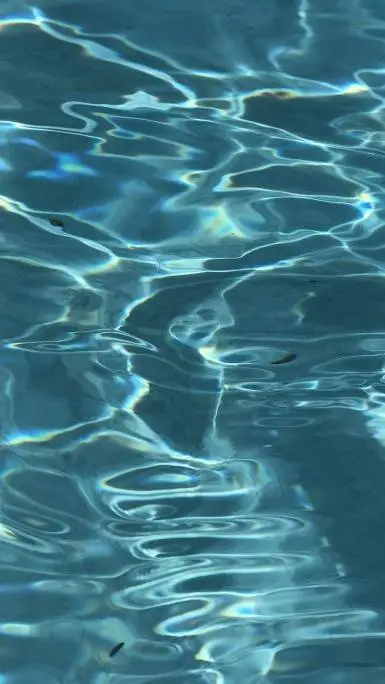 ai character: jj maybank background