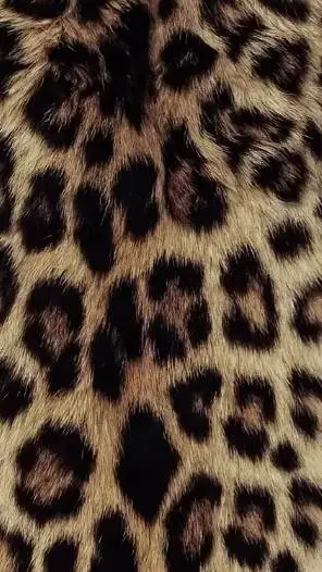 ai character: jj maybank  background