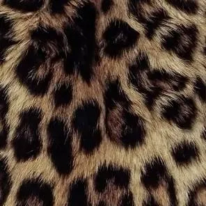 chat with ai character: jj maybank 